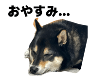 837881103