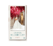 837881496