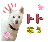 837882129