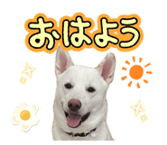 837882130