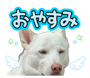 837882131