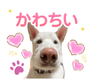 837882132