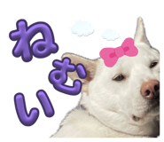 837882135