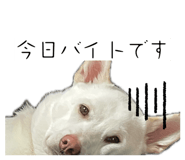 837882137
