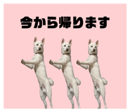837882142
