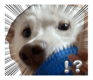 837882143