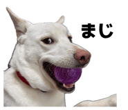 837882144