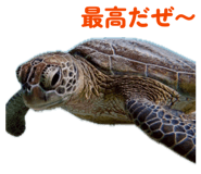837896068