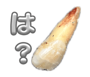 837896069