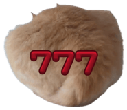 837898996