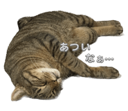 837900049