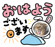 837900053