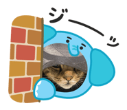 837900067