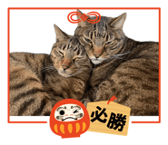 837900084