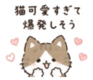 837908031