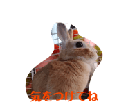 837908119