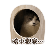 837920926