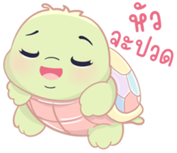 เต่าน้อยใจฟู รูปที่ 2