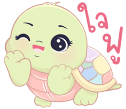 เต่าน้อยใจฟู รูปที่ 3
