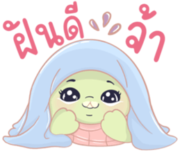 เต่าน้อยใจฟู รูปที่ 8