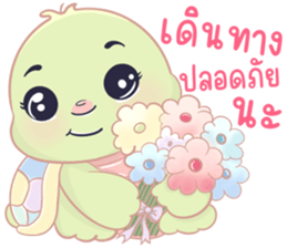 เต่าน้อยใจฟู รูปที่ 10