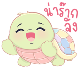เต่าน้อยใจฟู รูปที่ 11