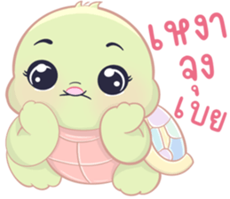 เต่าน้อยใจฟู รูปที่ 13