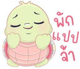 เต่าน้อยใจฟู รูปที่ 14