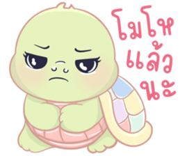 เต่าน้อยใจฟู รูปที่ 15