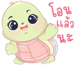 เต่าน้อยใจฟู รูปที่ 16