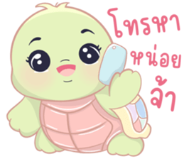 เต่าน้อยใจฟู รูปที่ 17