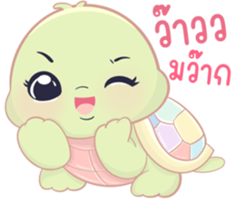 เต่าน้อยใจฟู รูปที่ 19