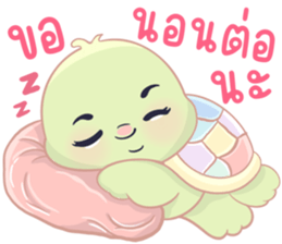 เต่าน้อยใจฟู รูปที่ 21