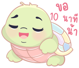 เต่าน้อยใจฟู รูปที่ 26
