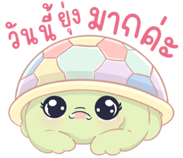 เต่าน้อยใจฟู รูปที่ 27