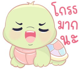 เต่าน้อยใจฟู รูปที่ 29
