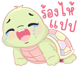 เต่าน้อยใจฟู รูปที่ 34