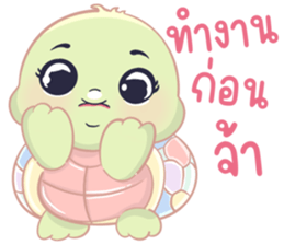 เต่าน้อยใจฟู รูปที่ 37