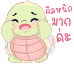 เต่าน้อยใจฟู รูปที่ 39