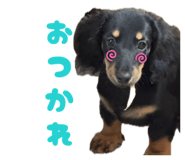 837922483