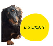 837922487