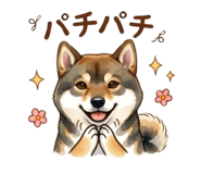 837922902