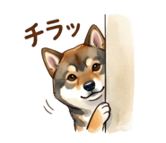837922915