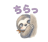 837923552