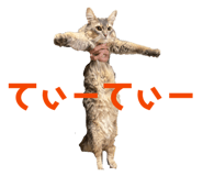 837924302