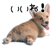 837924579