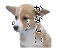 837924584