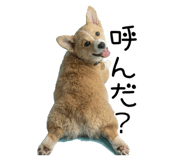 837924598