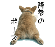 837924599
