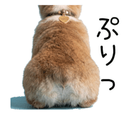 837924604